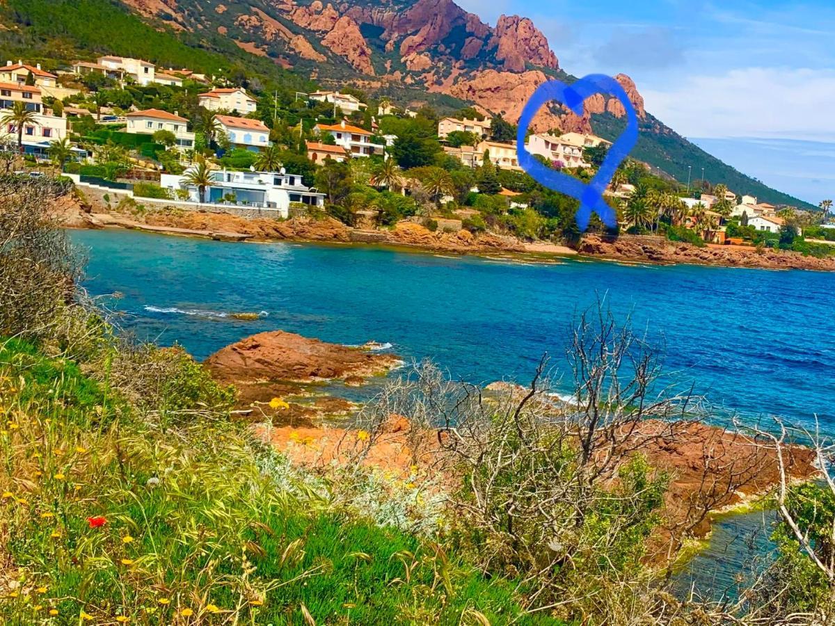 La Belle Vue-Charming Duplex Apartment With Sea View, 50 Meters From Beach And Private Parking Saint-Raphaël Eksteriør billede