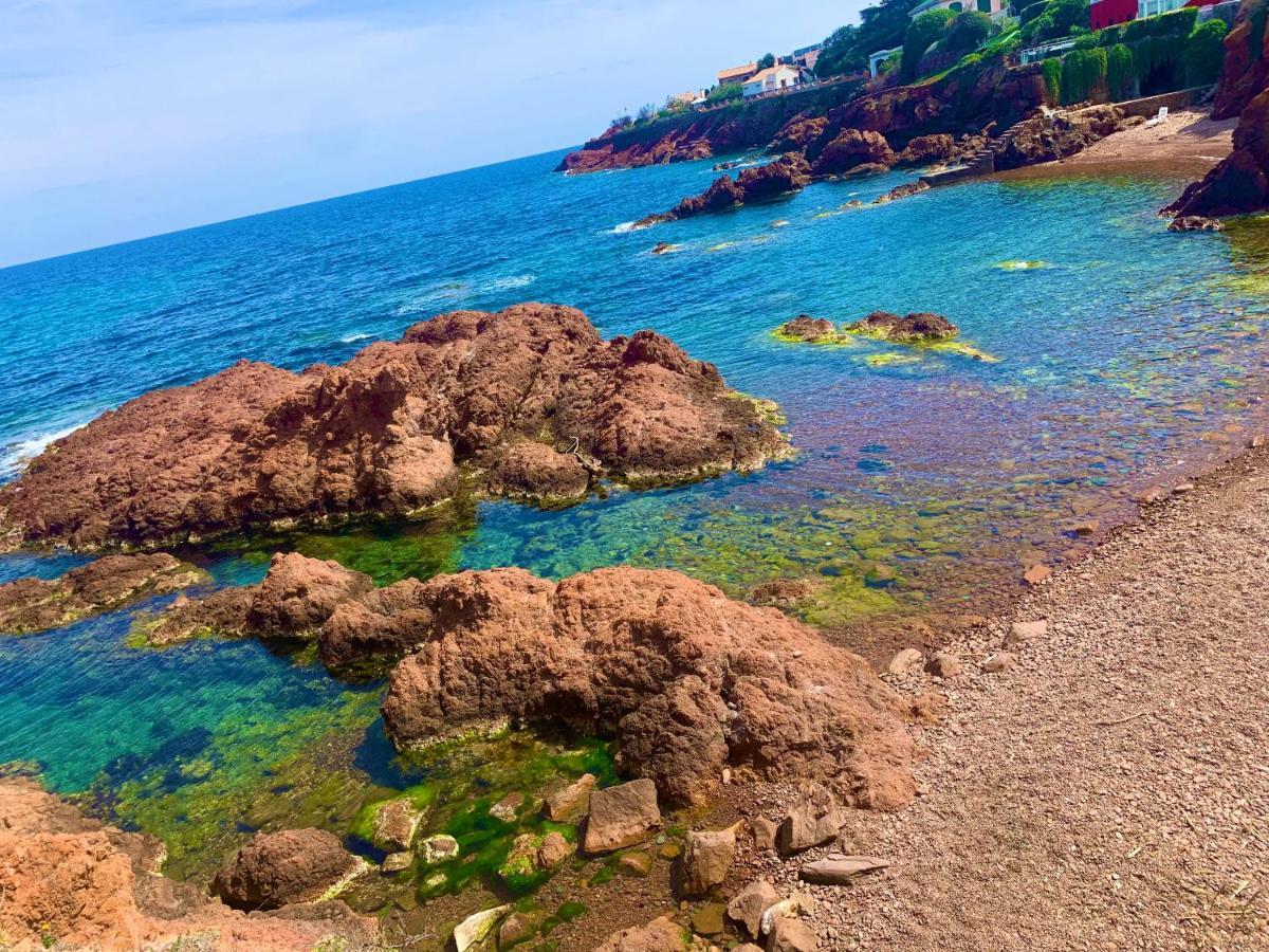 La Belle Vue-Charming Duplex Apartment With Sea View, 50 Meters From Beach And Private Parking Saint-Raphaël Eksteriør billede